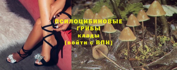прущие крисы Алзамай