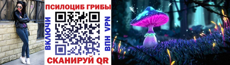 Купить  Собинка  Галлюциногенные грибы Magic Shrooms 